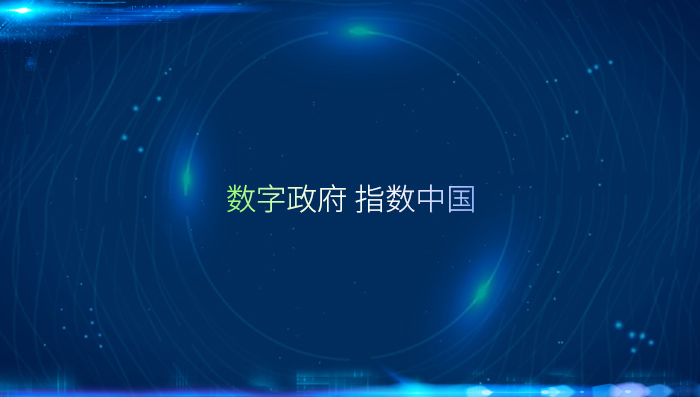 中国城市政府指数简介