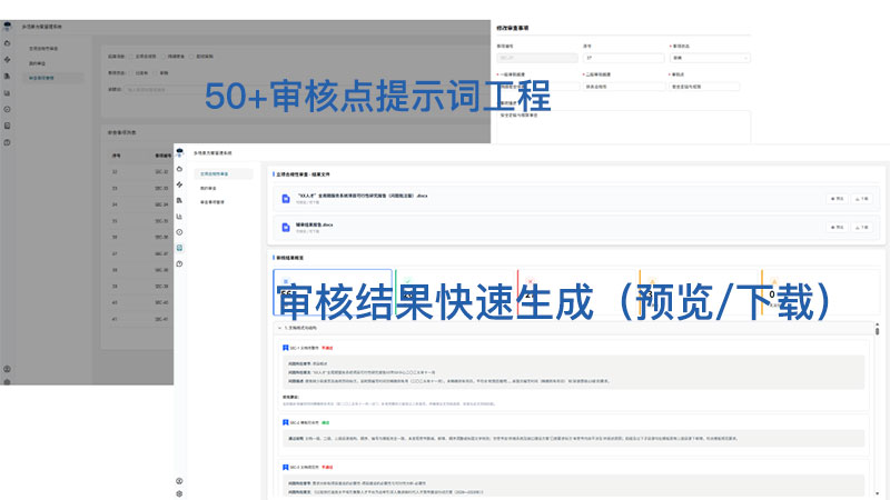 审查结果概览界面